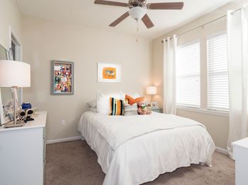 ceiling fan and fixtures